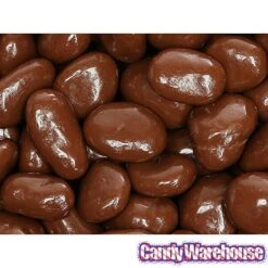 Albanese Milk Chocolate Covered Raisins Candy - Jumbo: 5LB Bag -Candy Store albanese milk chocolate covered raisins candy jumbo 5lb bag candy warehouse 4