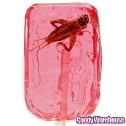 Cricket Lollipops: 36-Piece Box -Candy Store cricket lollipops 36 piece box candy warehouse 4