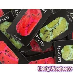 Edible Ant Farm Candy Packs: 24-Piece Box -Candy Store edible ant farm candy packs 24 piece box candy warehouse 3 b93032bc 2f4f 4996 bd7b 5dc8642b6554