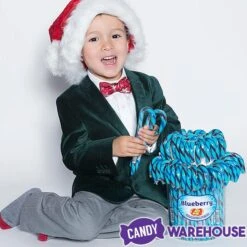 Jelly Belly Candy Canes - Blueberry: 80-Piece Bucket -Candy Store jelly belly candy canes blueberry 80 piece bucket candy warehouse 3