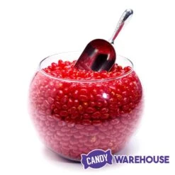 Jelly Belly Sizzling Cinnamon: 10LB Case -Candy Store jelly belly sizzling cinnamon 10lb case candy warehouse 4