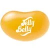 Jelly Belly Sunkist Orange: 10LB Case -Candy Store jelly belly sunkist orange 10lb case candy warehouse 1 d133e175 5471 4667 b0f3 42908b664bbc