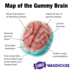 Jelly Filled Gummy Brains: 1KG Bag -Candy Store jelly filled gummy brains 1kg bag candy warehouse 3