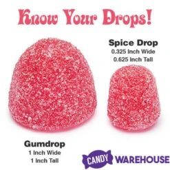 Jumbo Gumdrops Candy: 5LB Bag -Candy Store jumbo gumdrops candy 5lb bag candy warehouse 4 0840f1f6 a14c 40b8 a375 89b9c6d7583d