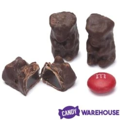Koppers Dark Chocolate Covered Gummi Bears: 1LB Jar 9 Koppers Dark Chocolate Covered Gummi Bears: 1LB Jar -Candy Store koppers dark chocolate covered gummi bears 1lb jar candy warehouse 3