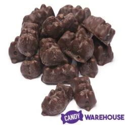 Koppers Dark Chocolate Covered Gummi Bears: 1LB Jar 10 Koppers Dark Chocolate Covered Gummi Bears: 1LB Jar -Candy Store koppers dark chocolate covered gummi bears 1lb jar candy warehouse 4