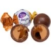 Madelaine Duets Peanut Butter & Caramel Filled Chocolate Truffles: 48-Piece Box -Candy Store madelaine duets peanut butter and caramel filled chocolate truffles 48 piece box candy warehouse 1