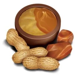 Madelaine Duets Peanut Butter & Caramel Filled Chocolate Truffles: 48-Piece Box -Candy Store madelaine duets peanut butter and caramel filled chocolate truffles 48 piece box candy warehouse 3