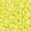 Primrose Tiny Candy Hearts - Pastel Yellow: 5LB Bag 2 Primrose Tiny Candy Hearts - Pastel Yellow: 5LB Bag -Candy Store primrose tiny candy hearts pastel yellow 5lb bag candy warehouse 1 1eb65252 1d2c 41cf a7e7 2631c1f9d49f