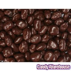 Raisinets Milk Chocolate Raisins Candy: 8-Ounce Bag -Candy Store raisinets milk chocolate raisins candy 8 ounce bag candy warehouse 4 e8189a75 ec0b 4767 a160 01f21970455a