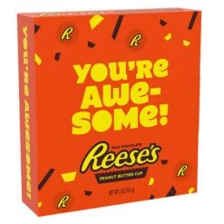 Reeses Large 5-Ounce Peanut Butter Appreciation Cups: 2-Piece Pack -Candy Store reeses large 5 ounce peanut butter appreciation cups 2 piece pack candy warehouse 3