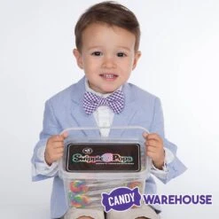 Swipple Pops Petite Swirl Ripple Lollipops - Rainbow Cherry: 60-Piece Tub -Candy Store swipple pops petite swirl ripple lollipops rainbow cherry 60 piece tub candy warehouse 5