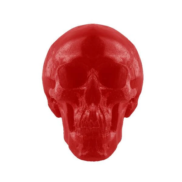 World's Largest Giant Gummy Skull 4 World's Largest Giant Gummy Skull - Image 2